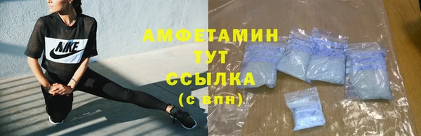 тгк Инсар