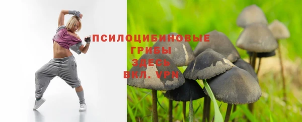 хмурый Зеленокумск