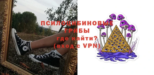 хмурый Зеленокумск