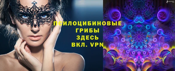 бошки Зерноград