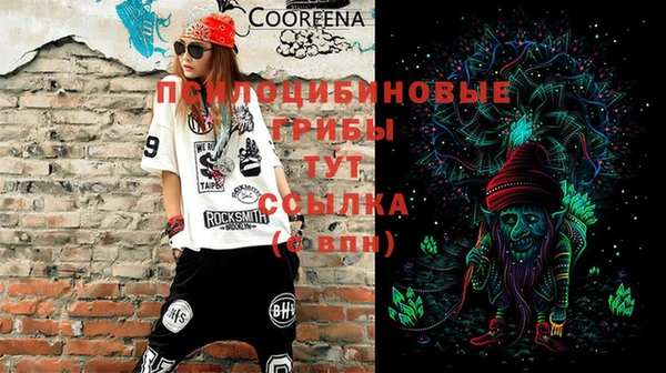 бошки Зерноград