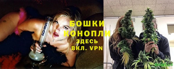 тгк Инсар