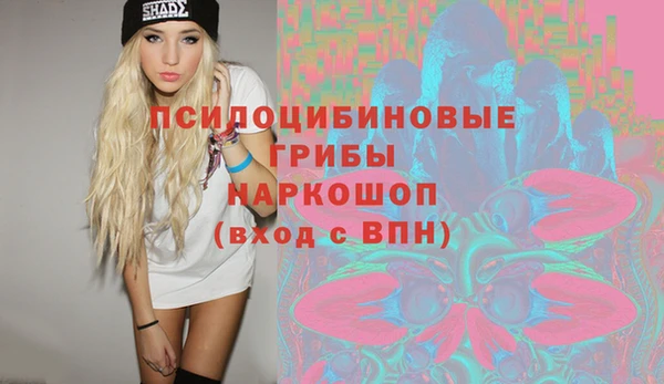 бошки Зерноград