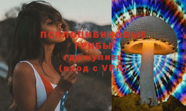 тгк Инсар